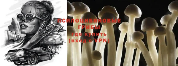 винт Баксан