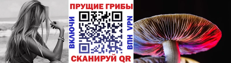 Галлюциногенные грибы Psilocybine cubensis  Купить закладки  Вилючинск 